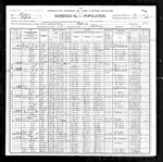 U.S. Census 1900