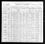 U.S. Census 1900